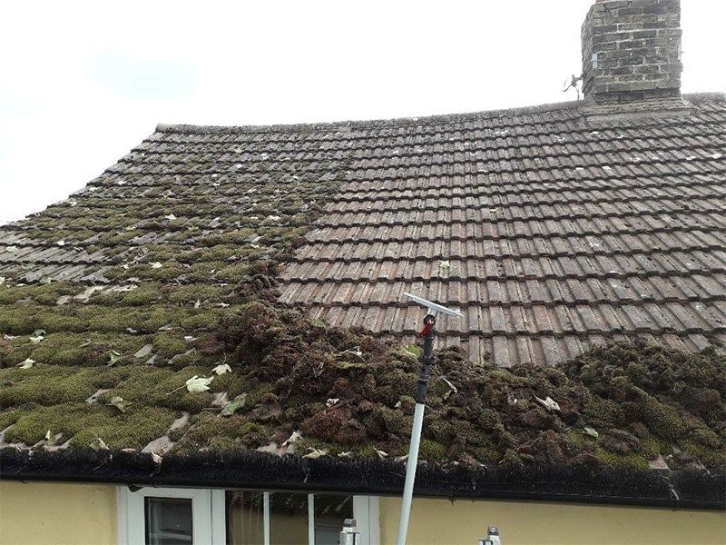 Roof Cleaning - Before