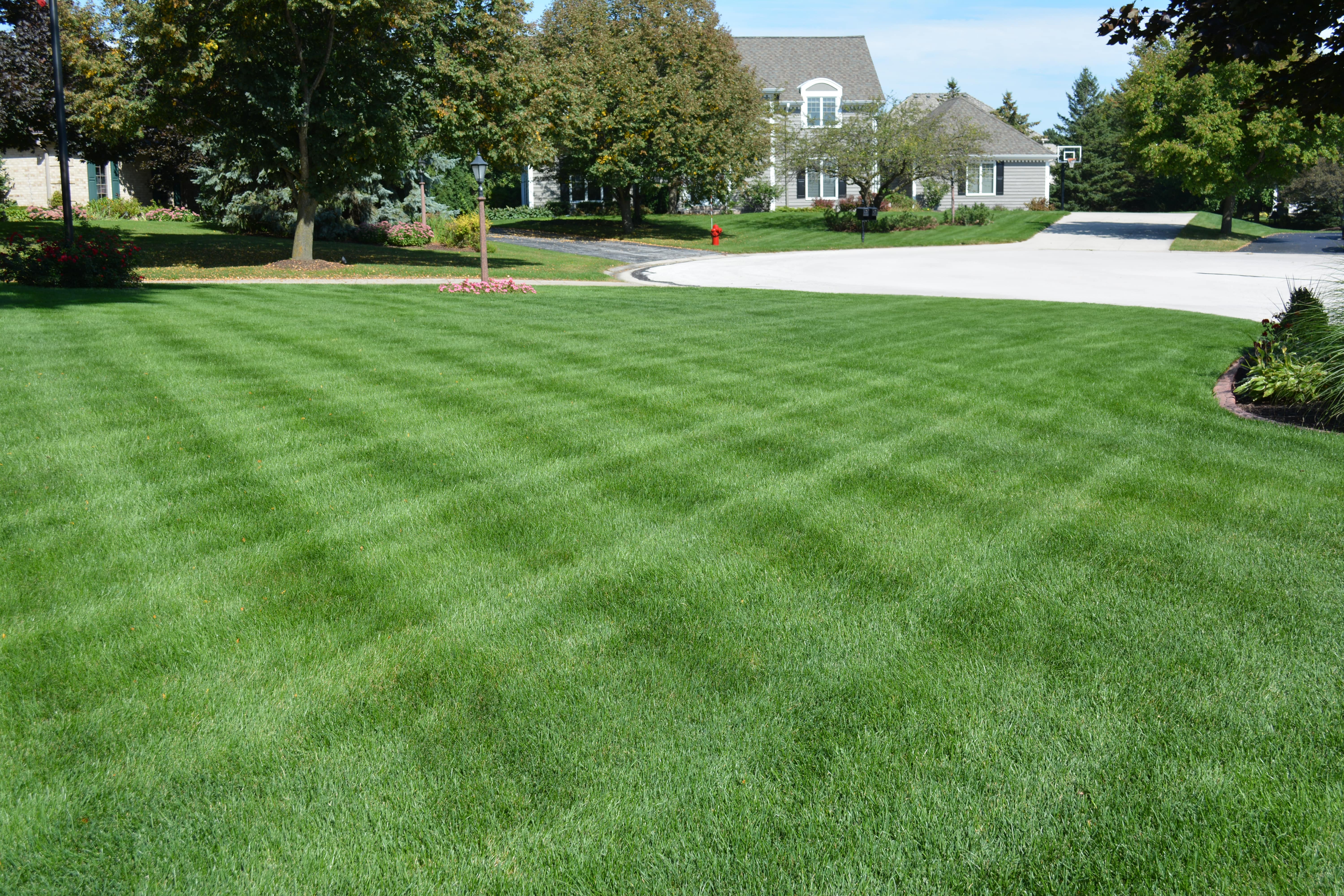 Lawn Care