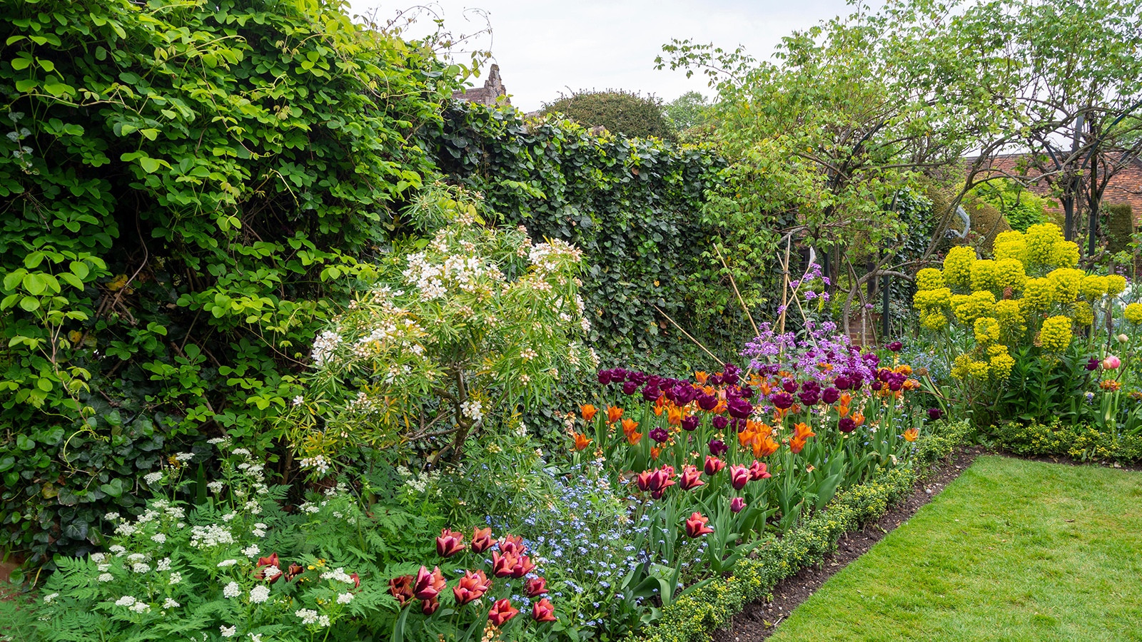Beautiful garden with trimmed hedges and flowerbeds